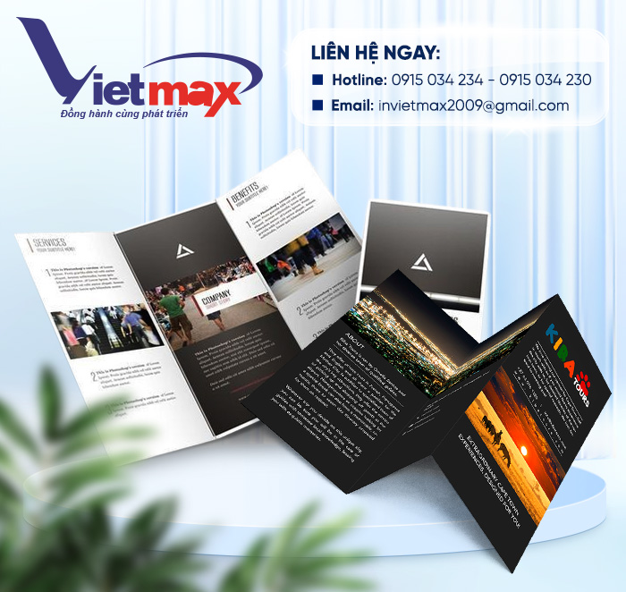CÔNG TY CỔ PHẦN ĐẦU TƯ VÀ PHÁT TRIỂN VIETMAX